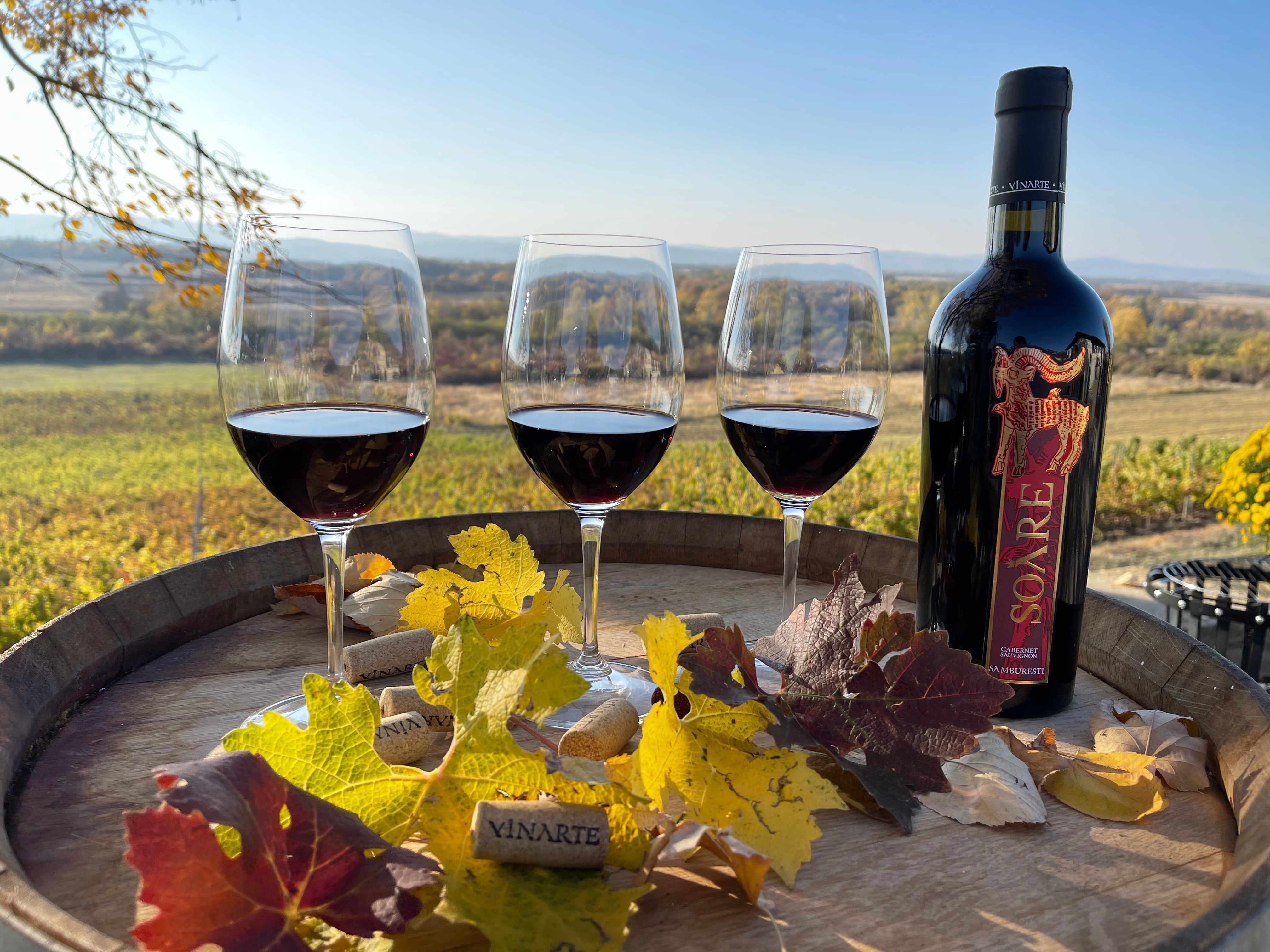 ルーマニアワイン会 開催のお知らせ